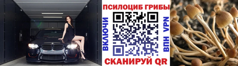 блэк спрут вход Черноголовка Галлюциногенные грибы MAGIC MUSHROOMS